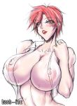  big_breasts breasts king_of_fighters see-through snk vanessa vanessa_(king_of_fighters) 