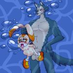  1boy 1girl aged_up air_bubbles alternate_version_available anal anthro aquaphilia balls beastars big_penis bondage breasts bubbles cream_the_rabbit crossover cub drowning ear_grab female fetish from_behind_position furry grabbing_from_behind hands_behind_back interspecies legoshi_(beastars) male male/female medium_breasts navel ninotrash nipples nude penis rabbit rape rope_bondage sex shoes size_difference sonic_(series) sonic_the_hedgehog_(series) stomach stomach_bulge stomach_deformation straight tied_hands underwater underwater_sex water wolf 