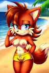  ai_generated beach breasts honey_the_cat mobians.ai nipples nuggeto sea seaside sega shorts sonic_the_hedgehog_(series) topless topless_female 