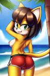  ai_generated beach big_breasts breasts clothing honey_the_cat laying_down mobians.ai nipples nuggeto sea seaside sega shorts sonic_the_hedgehog_(series) topless topless_female 