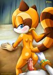  1boy 1girl anthro ass balls bbmbbf blue_eyes blush breasts cum cum_in_pussy cum_inside first_person_view furry furry_female marine_the_raccoon mobius_unleashed naughty_face nude palcomix penis pussy seductive_look sega sex sex_from_behind silver_the_hedgehog sonic sonic_the_hedgehog_(series) tail vaginal_penetration vaginal_sex 