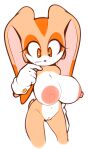 breasts cleft_of_venus completely_naked completely_nude completely_nude_female cream_the_rabbit cub furry furry_female gloves mystical nude nude_female oppai pussy sega sega simple_background sonic_the_hedgehog_(series) white_hair