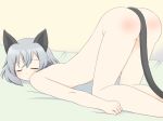  1girl animal_ears ass cat_ears cat_tail closed_eyes convenient_censoring hair kurappii nude sanya_v_litvyak short_hair silver_hair sleeping solo strike_witches tail top-down_bottom-up 