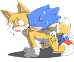  fox foxes hedgehog sex sonic sonic_the_hedgehog tails tails_the_fox yaoi 