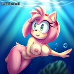 1girl ai_generated amy_rose amyroseuwu19 anthro big_breasts blush breasts completely_naked_female completely_nude_female curvy_female cute_girl deviantart exhibitionism female female_furry freediving furry furry_female green_eyes hedgehog hedgehog_girl mobians.ai naked_female navel nipples nude nude_female ocean pussy sea sega skinny_dipping solo sonic_(series) sonic_the_hedgehog_(series) swimming underwater water