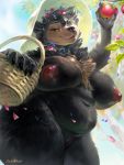  1girl 1girl anthro apple basket belly big_breasts breasts chest_tuft flower food fruit inverted_nipples levelviolet mammal neck_tuft nipples plant pussy slightly_chubby thick_thighs tuft ursid voluptuous wide_hips 