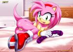  1_female 1girl 1girl amy_rose bbmbbf furry furry_female furry_only mobius_unleashed palcomix 