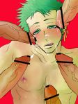  artist_request censor_bar green_hair multiple_penises muscular_male one_piece roronoa_zoro tanned_skin 