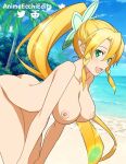  1girl alluring animeecchiedits ass beach big_breasts blonde_hair completely_nude_female green_eyes leafa nude sword_art_online 