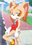 1girl asking_for_it bbmbbf cream_the_rabbit dildo dildo_in_vagina dress_lift female female_masturbation female_only gloves horny looking_at_viewer masturbation mobius_unleashed no_panties palcomix public pussy rabbit sega smile solo_female sonic_(series) sonic_the_hedgehog_(series) vaginal_insertion young