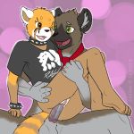  1girl 2018 5_fingers aggressive_retsuko anthro anthro_on_anthro black_nose bottomless bracelet brown_fur chair_position clothed clothed_sex clothing collar condom duo eddiew from_behind_position fur furry green_eyes grey_fur haida happy happy_sex humanoid_hands hyena interspecies jewelry leg_grab male male/female male_penetrating mammal neck_tie one_eye_closed open_mouth open_smile penetration penis pussy red_panda retsuko safe_sex sanrio sex shirt smile spiked_bracelet spiked_collar spikes t-shirt testicles vaginal vaginal_penetration 