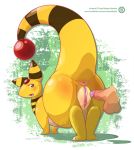  ampharos anus pokemon pussy 