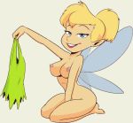  disney_fairies female peter_pan tinker_bell 