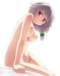 1girl bare_shoulders bed_sheet belly body_blush braid breasts female hair_ribbon hayashi_custom izayoi_sakuya looking_at_viewer navel nipples nude on_bed red_eyes ribbon short_hair silver_hair simple_background single_braid smile solo touhou twin_braids white_background