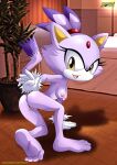  bbmbbf blaze_the_cat mobius_unleashed palcomix sega sonic_the_hedgehog_(series) 