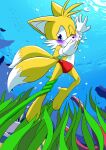  1boy 1girl 3_toes absurd_res asphyxiation barefoot canid canine chief_cheiro clothing drowning feet fox high_res kelp male mammal miles_&quot;tails&quot;_prower peril plantigrade sega sonic_the_hedgehog_(series) speedo swimwear toes trapped underwater water 