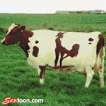  animated cow cow_spots gif sextoon 