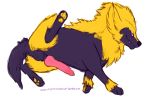  canine_penis character_request electrikedeathstrike pokemon presenting_penis spread_legs 