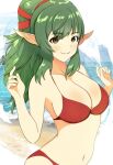  1girl 1girl alluring alternate_costume beach big_breasts bikini breasts cleavage fire_emblem fire_emblem_awakening fire_emblem_heroes green_eyes green_hair long_hair looking_at_viewer nintendo ocean orbiculare pointy_ears ponytail red_bikini red_swimsuit sand smile source_larger swimsuit tiki_(adult)_(fire_emblem) tiki_(adult)_(summer)_(fire_emblem) tiki_(fire_emblem) upper_body 