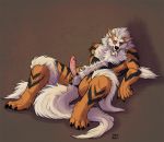  2013 arcanine canine cbh erection male nintendo penis pokemon solo testicles video_games 