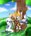  meyk miles_&amp;quot;tails&amp;quot;_prower sega sonic_the_hedgehog_(series) tangle_the_lemur whisper_the_wolf 