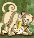  cat feline meowth penis persian pokemon pokã©mon saliva teeth tongue 