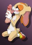 animal_ears behomoth_(artist) blush breasts cream_the_rabbit cub erection fellatio female licking male masturbation nintendo nipples nude oral oral_sex penis sega sex sonic_(series) tail testicles tongue tongue_out young