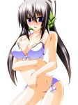  1girl bikini black_hair blue_eyes blush breasts cleavage engo_(aquawatery) female front-tie_top hair_ribbon infinite_stratos large_breasts legs long_hair ribbon shinonono_houki shiny shiny_skin side-tie_bikini solo swimsuit thighs twintails 