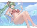  1girl 1girl 1girl absurd_res alluring alternate_costume big_breasts bikini blue_sky calmgreentori cleavage cloud female_only fire_emblem fire_emblem_awakening fire_emblem_heroes green_eyes green_hair high_res long_hair looking_at_viewer navel nintendo ocean official_alternate_costume pointy_ears ponytail red_bikini red_swimsuit sideboob sky smile swimsuit tiara tiki_(adult)_(fire_emblem) tiki_(adult)_(summer)_(fire_emblem) tiki_(fire_emblem) wet 