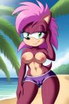  ai_generated beach breasts mobians.ai nipples nuggeto sea seaside sega shorts sonia_the_hedgehog sonic_the_hedgehog_(series) topless topless_female 