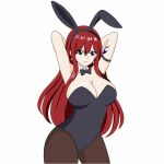  bunny_ears bunnysuit cosplay erza_scarlet fairy_tail hfxpins red_hair 