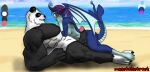 beach beach_sex cute dragon furry hybrid muschelshreck oma_the_orcane original original_character peter_panda vaginal