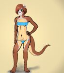 furry nude original original_character otter sheru_the_otter womb_tattoo