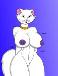  breasts cat duchess_(the_aristocats) lucedo vulva 