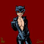  1girl 2008 batman_(series) catwoman dc dc_comics female female_only flashing hellstroem selina_kyle solo 