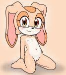  1girl 1girl 1girl cream_the_rabbit cub flat_chested genitals high_res lagomorph leporid looking_at_viewer m0rt1337 mammal nipples nude pussy rabbit sega sitting smile sonic_the_hedgehog_(series) young 