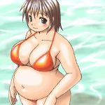  1girl belly bikini blue_eyes breasts chubby cleavage fat female grey_hair kato_hayabusa large_breasts lowres navel original plump short_hair solo swimsuit water 