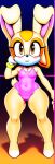  1girl ai_generated anthro barefoot blush bunny_ears cameltoe cream_the_rabbit cub furry furry_female gymnastics legs leotard looking_at_viewer novelai portrait sega short small_breasts smile sonic_the_hedgehog_(series) spandex thick_thighs wide_hips 