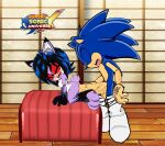 furry furry_only large_penis original_character sega sonic_the_hedgehog sonic_the_hedgehog_(series) super_sonic_x_universe