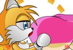  amy_rose feet foot foot_fetish licking miles_&quot;tails&quot;_prower paw sonic_(series) 