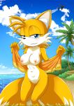  1girl anthro areola bbmbbf beach breasts canine female furry miles_&quot;tails&quot;_prower millie_tailsko mobius_unleashed nipples nude palcomix pussy sega solo sonic_(series) sonic_the_hedgehog_(series) 