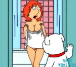 1_anthro 1_female 1_girl 1_human anthro bathroom breasts brian_griffin canine collar dog duo earring exposed_breasts family_guy female female_human hair human indoors lois_griffin looking_at_each_other nude pubic_hair pussy pussy_hair red_hair shower standing surprised towel wet yaroze33_(artist)