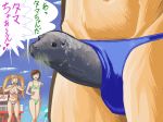 &gt;_&lt; 1boy 2girls beach bikini blonde_hair breasts brown_hair cleavage close-up closed_eyes cloud flat_chest hair joke laughing long_hair maldives multiple_girls original original_character outdoors outside penis pointing sea_lion seal sexually_suggestive short_hair sky smile speedo swim_briefs swimsuit tama-chan text translated twintails umbrella what