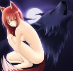  horo spice_and_wolf tagme 