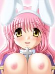  1girl animal_ears blush breasts bunny_ears cross huge_breasts nipples pink_hair priest priest_(ragnarok_online) priestess ragnarok_online solo 