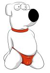 arms_behind_back arms_tied brian_griffin dog family_guy solo_male thong white_body