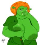  1girl big_breasts cartoon dreamworks female_only green_skin huge_breasts princess_fiona shrek solo_female upper_body 