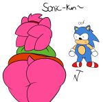  1boy 1girl amy_rose anthro ass bending_over blue_fur blue_hair confused dat_ass english_text female_focus from_behind furry gloves hairband hedgehog male neuwolfram/newtungsten pink_fur pink_hair rosy_the_rascal sega shoes sonic sonic_the_hedgehog sonic_the_hedgehog_(series) text thick_thighs thighs 