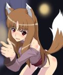  cl-55 horo spice_and_wolf tagme tail 