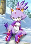  bbmbbf blaze_the_cat breasts female looking_at_viewer mobius_unleashed nipples outside palcomix sega sitting snow solo sonic_(series) sonic_the_hedgehog_(series) spreading spreading_legs tree 